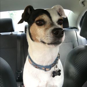 Meet your Posher, Maureen